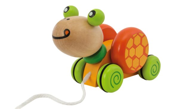 Eichhorn Nachzieh-Schildkröte