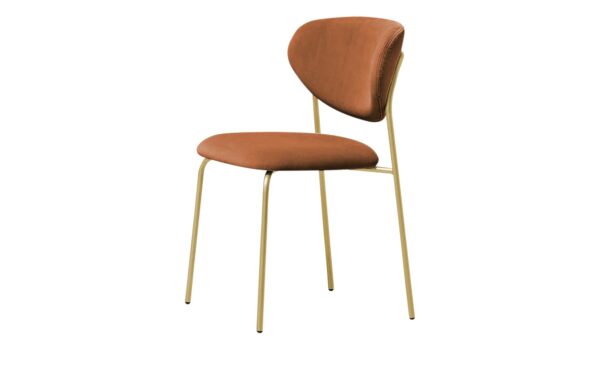 connubia calligaris Polsterstuhl  Cozy