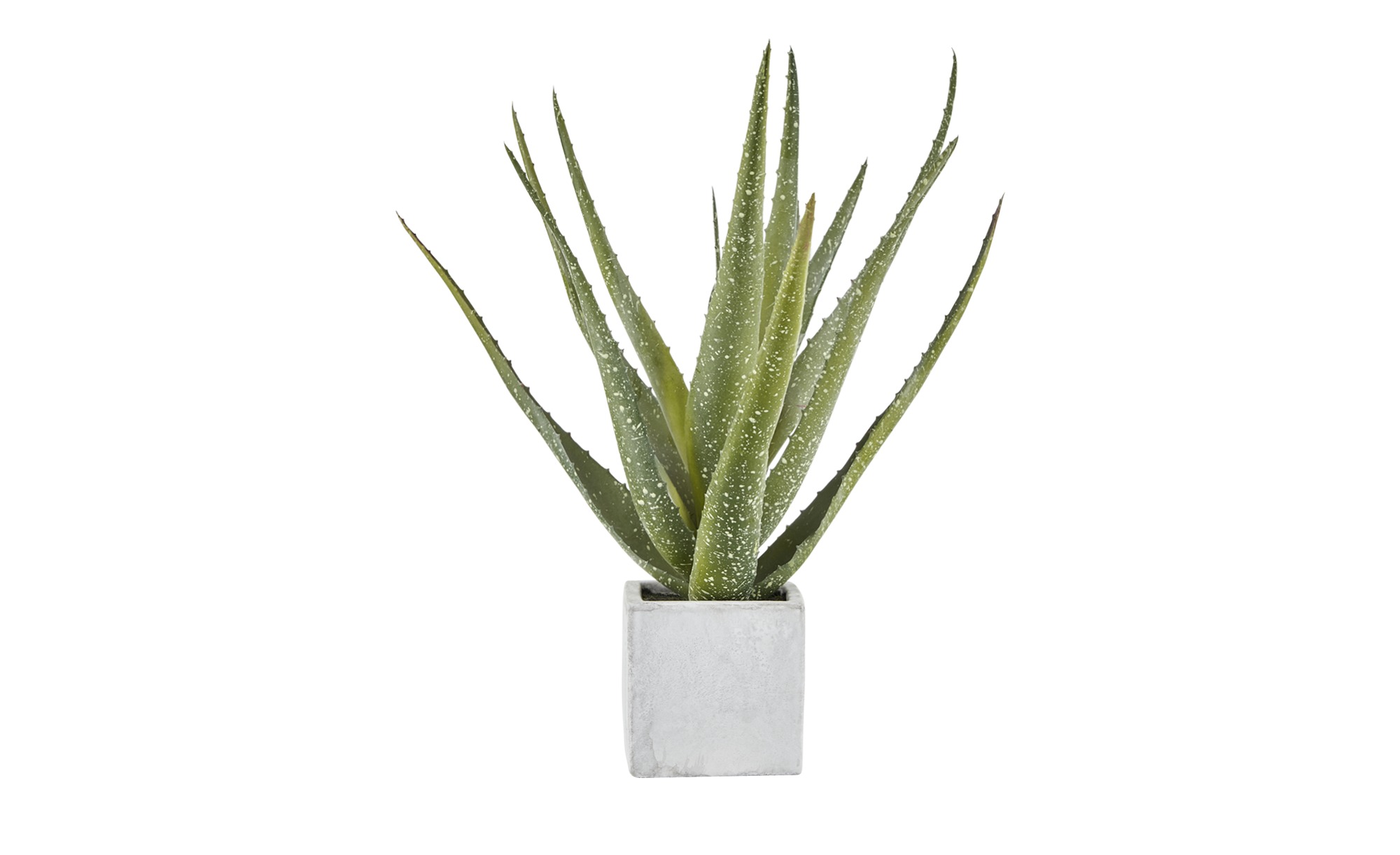 Aloe Im Keramiktopf  Kunstblume